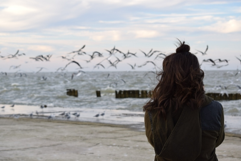 woman looking at birds while standing on beach