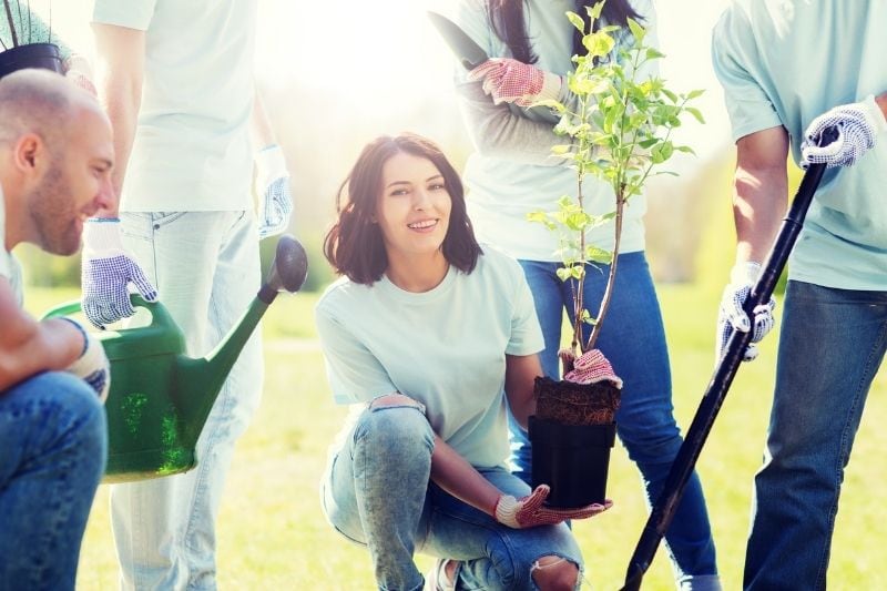 volunteers planting tree digging hole with a shovel in the park