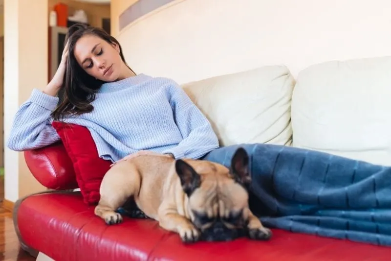 young woman petting on a french bulldog resting beside the woman on the sofa