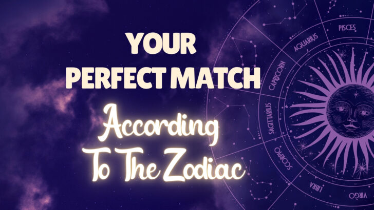 12 segni zodiacali e il loro perfetto abbinamento secondo lo zodiaco