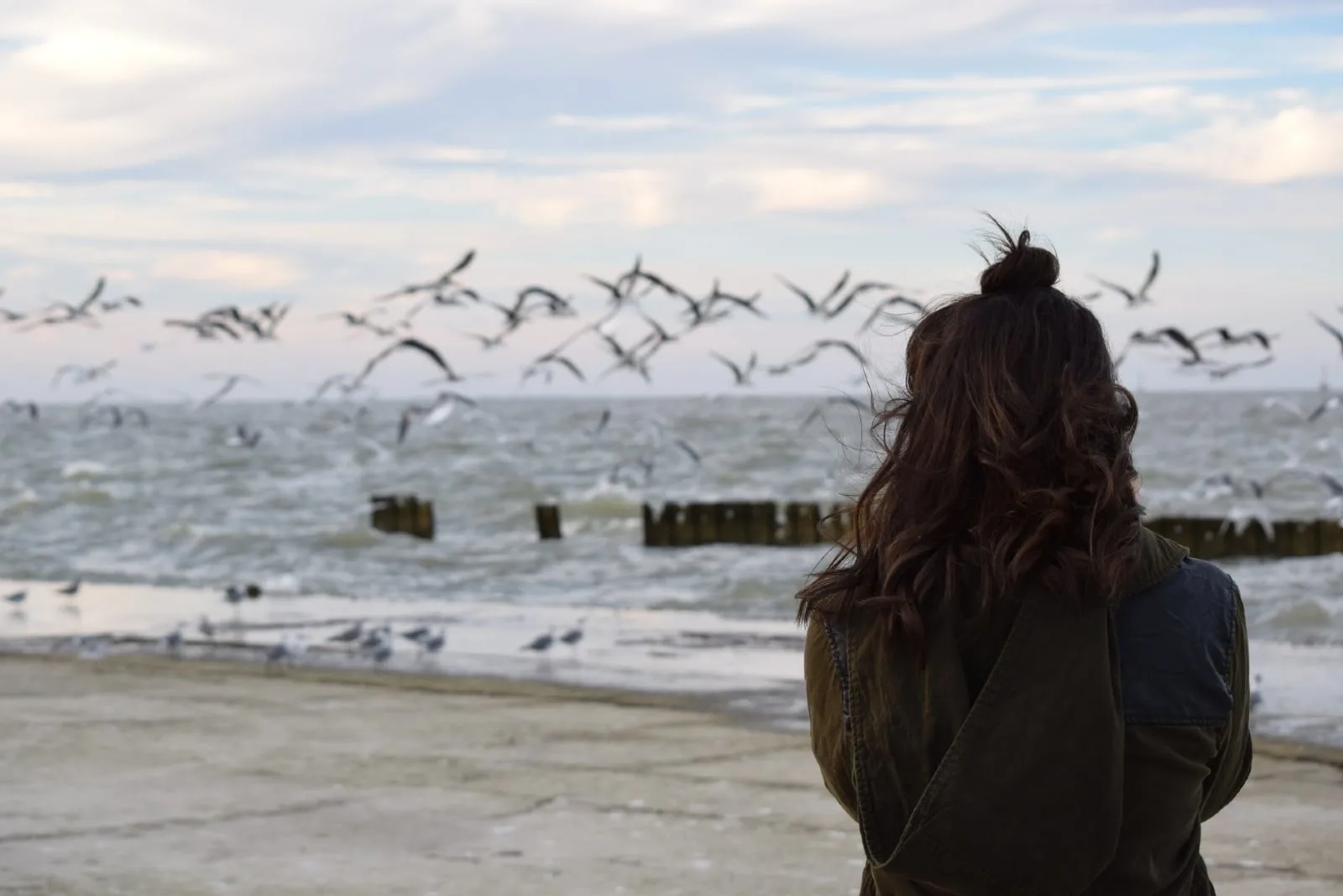 woman looking at birds while standing near ocean