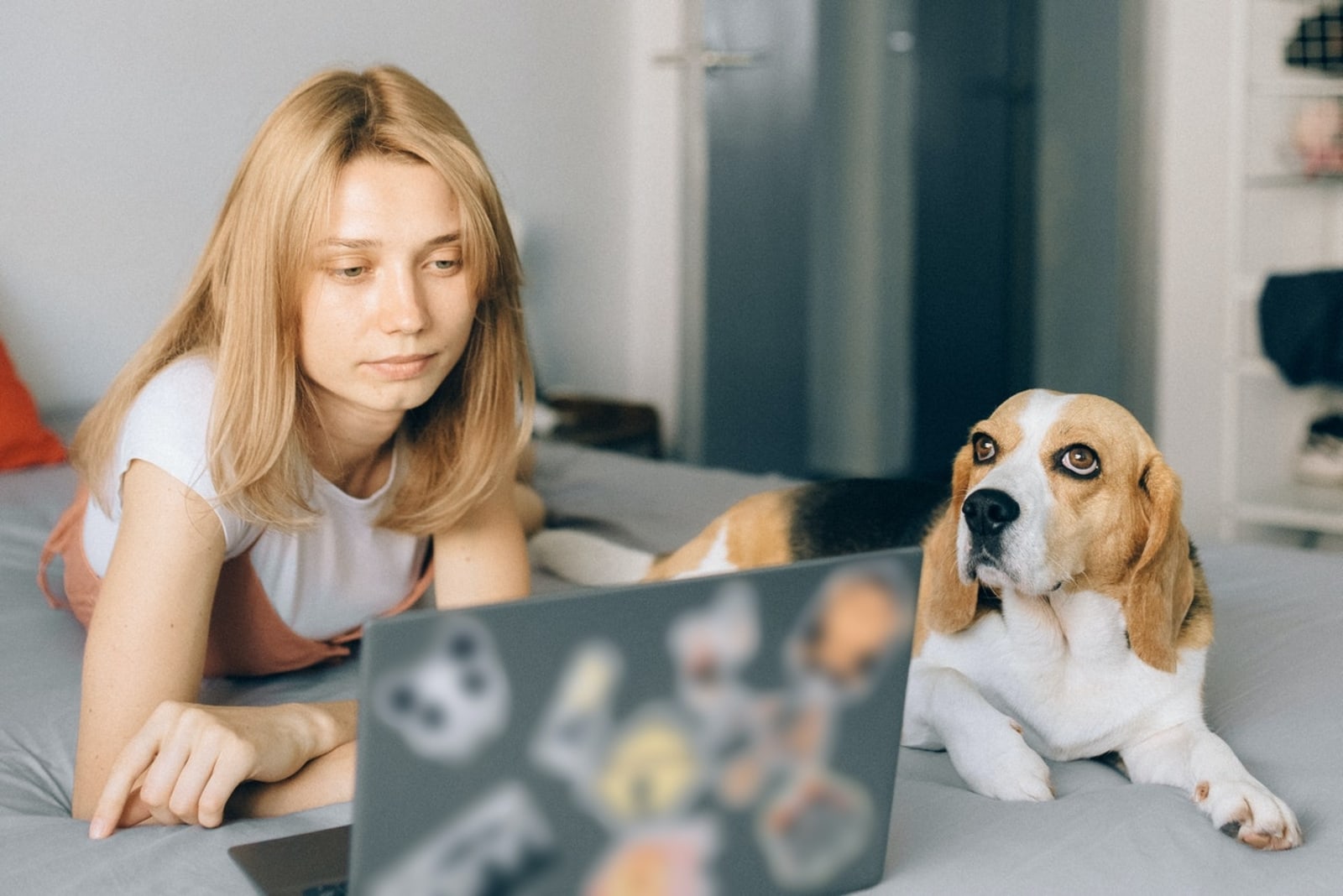 mujer mirando el portátil tumbada en la cama cerca de un perro