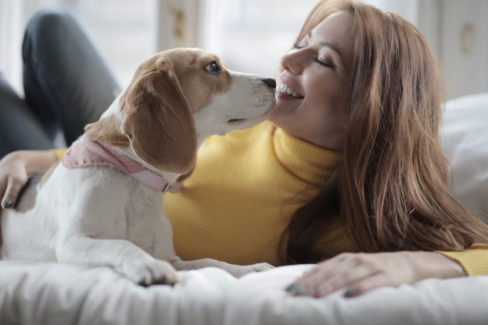 mulher a fazer festas ao cão enquanto está deitada na cama