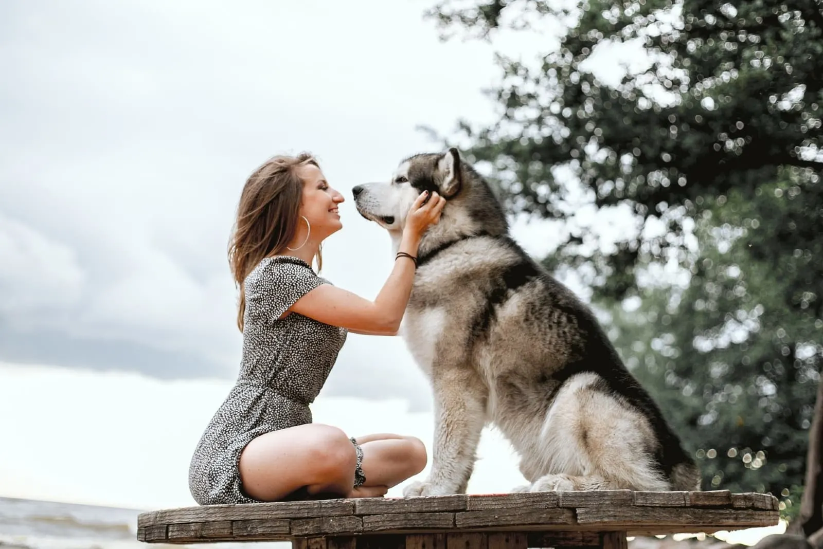 woman petting dog while sitting outdoor