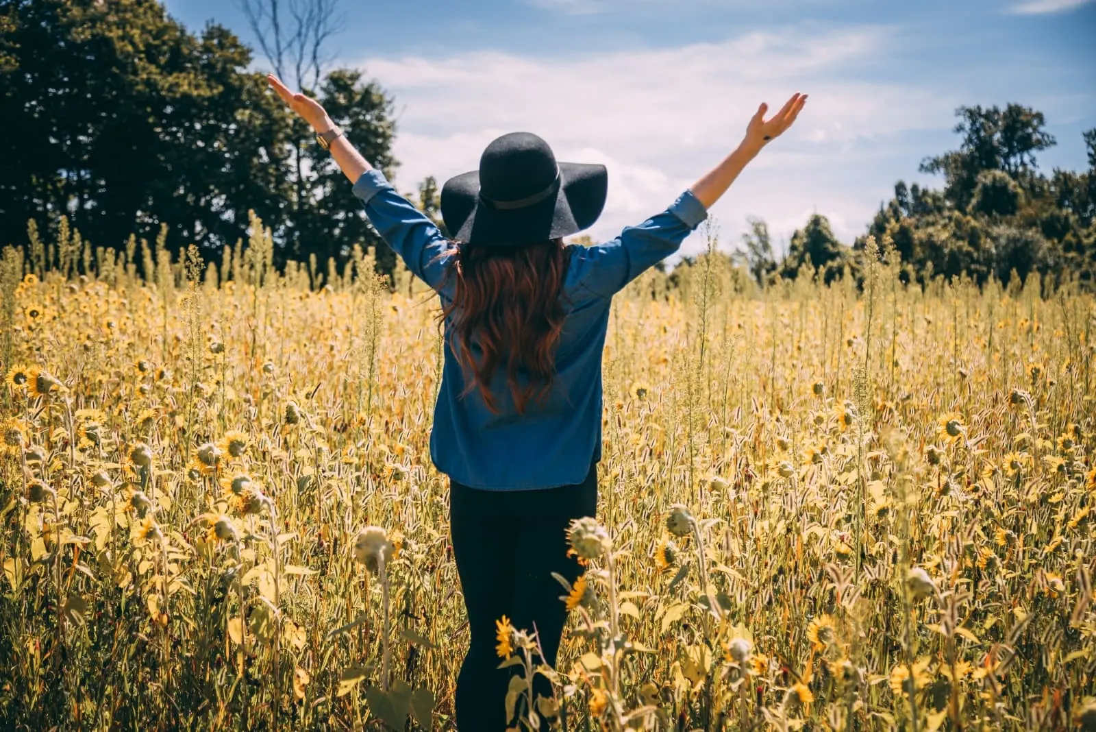 woman raising both hands while standing in sunflower field