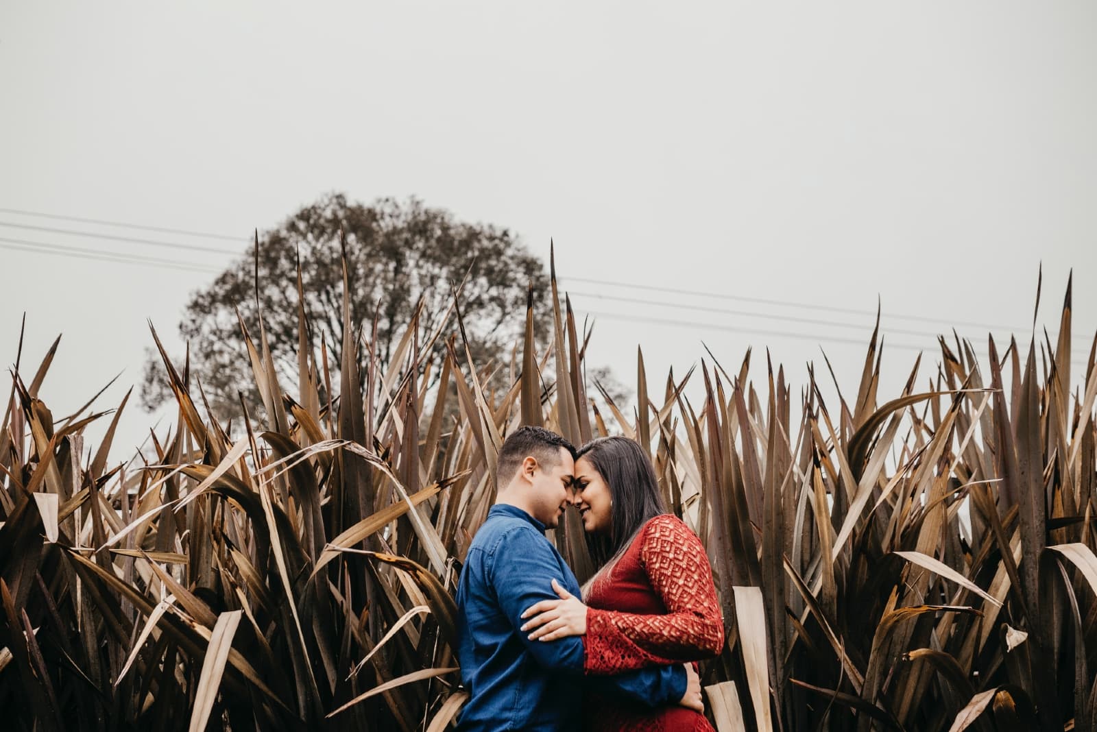 man and woman hugging while standing in the field