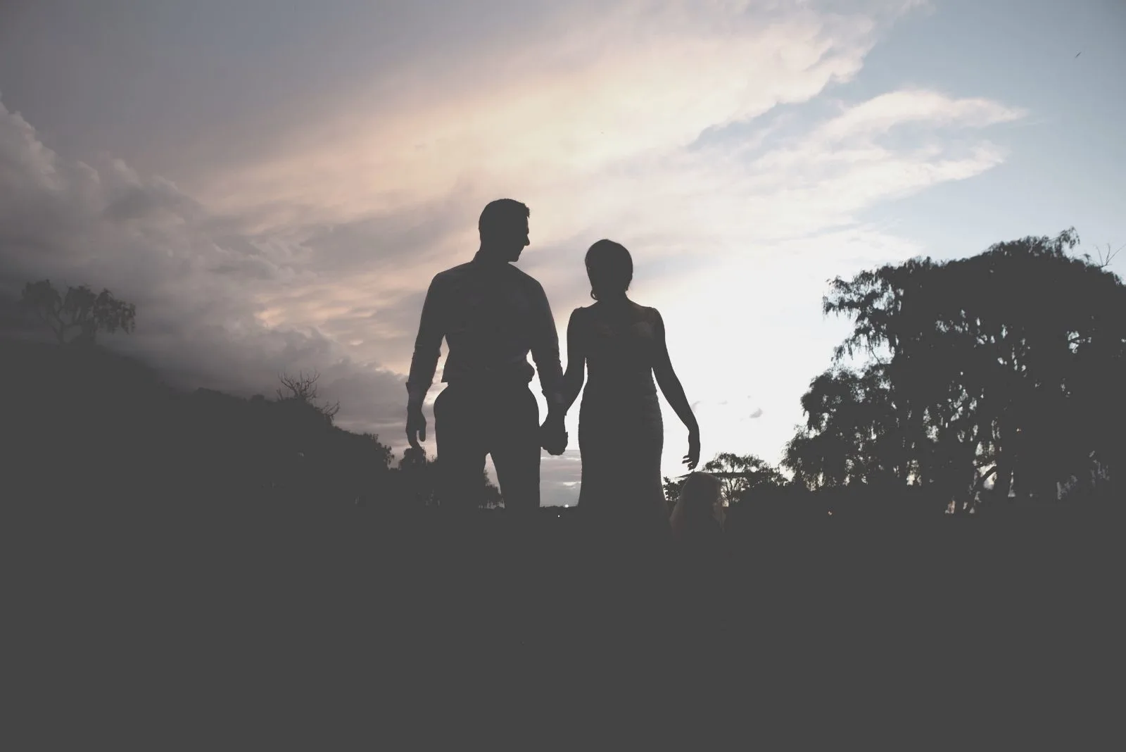 silhouette photography near a tree of a man holding hand of a woman