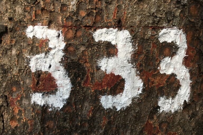 number 333 painted on tree