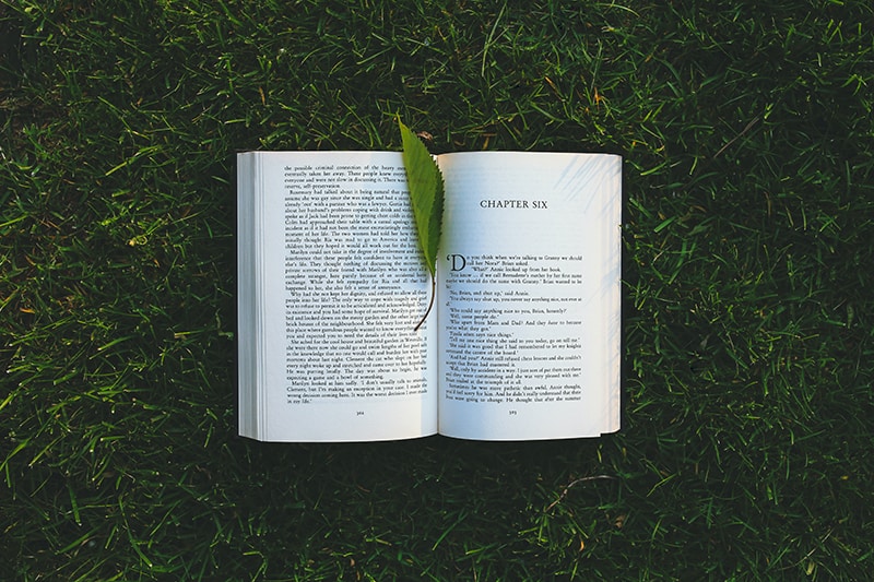 livro aberto sobre a relva verde