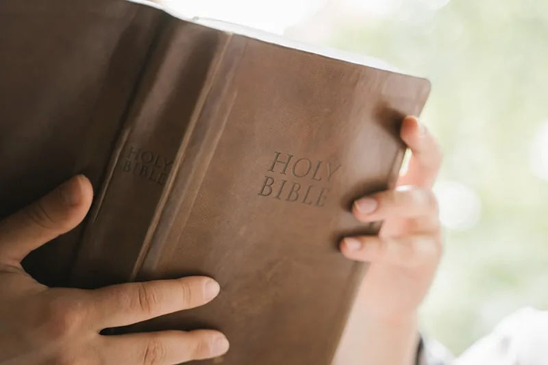 person holding bible and reading it