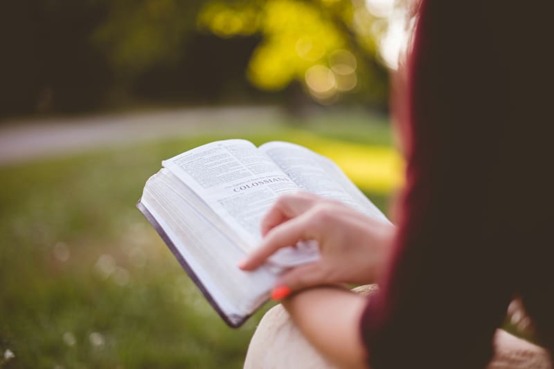 woman reading a bible in the park
