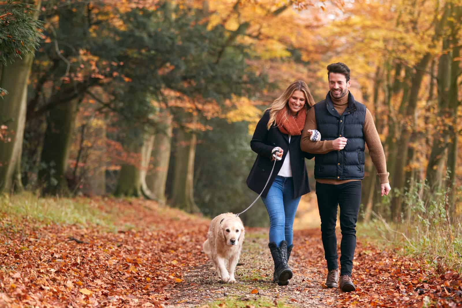 couple walking their dog in autumn