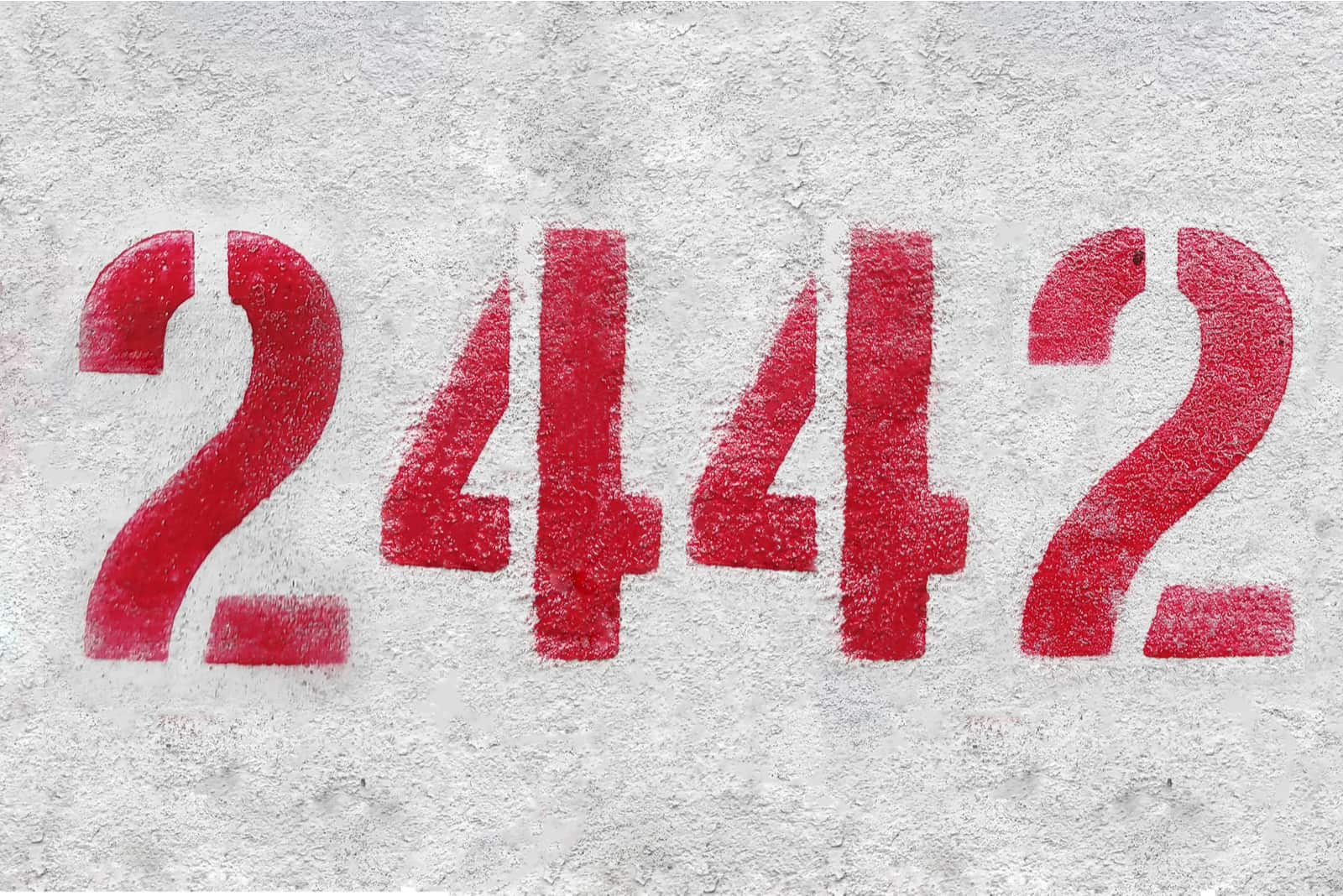 red 2442 angel number with grey background