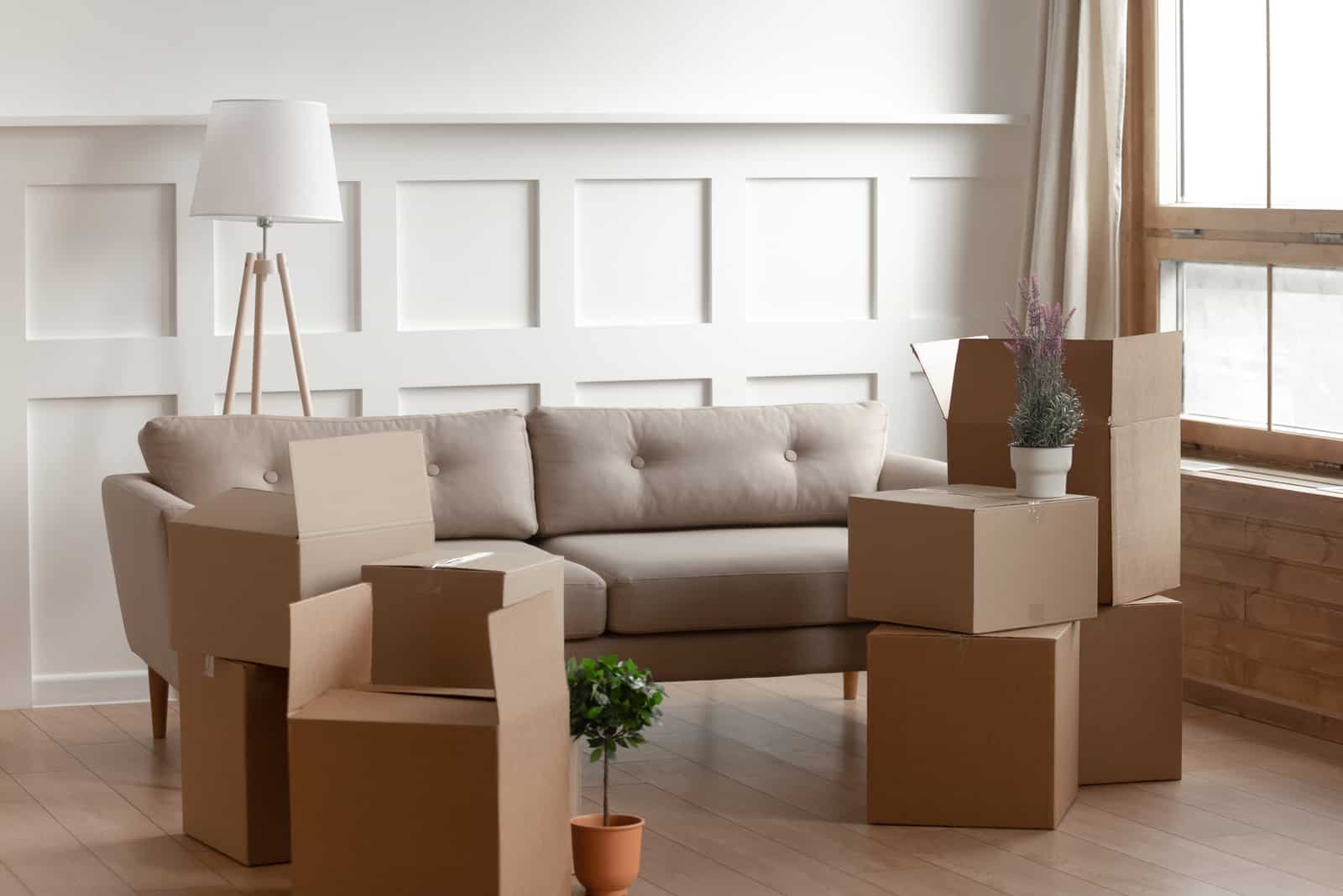 Grandi scatole di cartone, fiori domestici, piante in vaso, lampada da terra e comodo divano all'interno di un soggiorno moderno, senza persone.