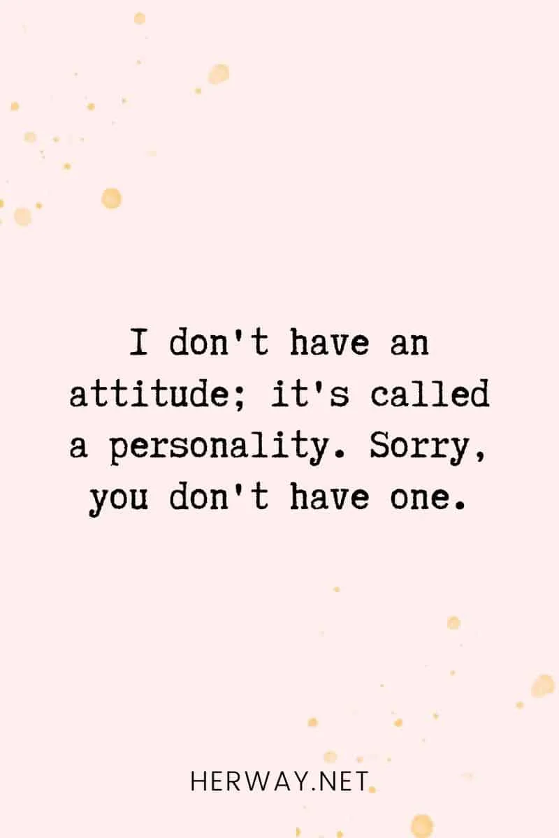_I don't have an attitude; it's called a personality. Sorry, you don't have one._