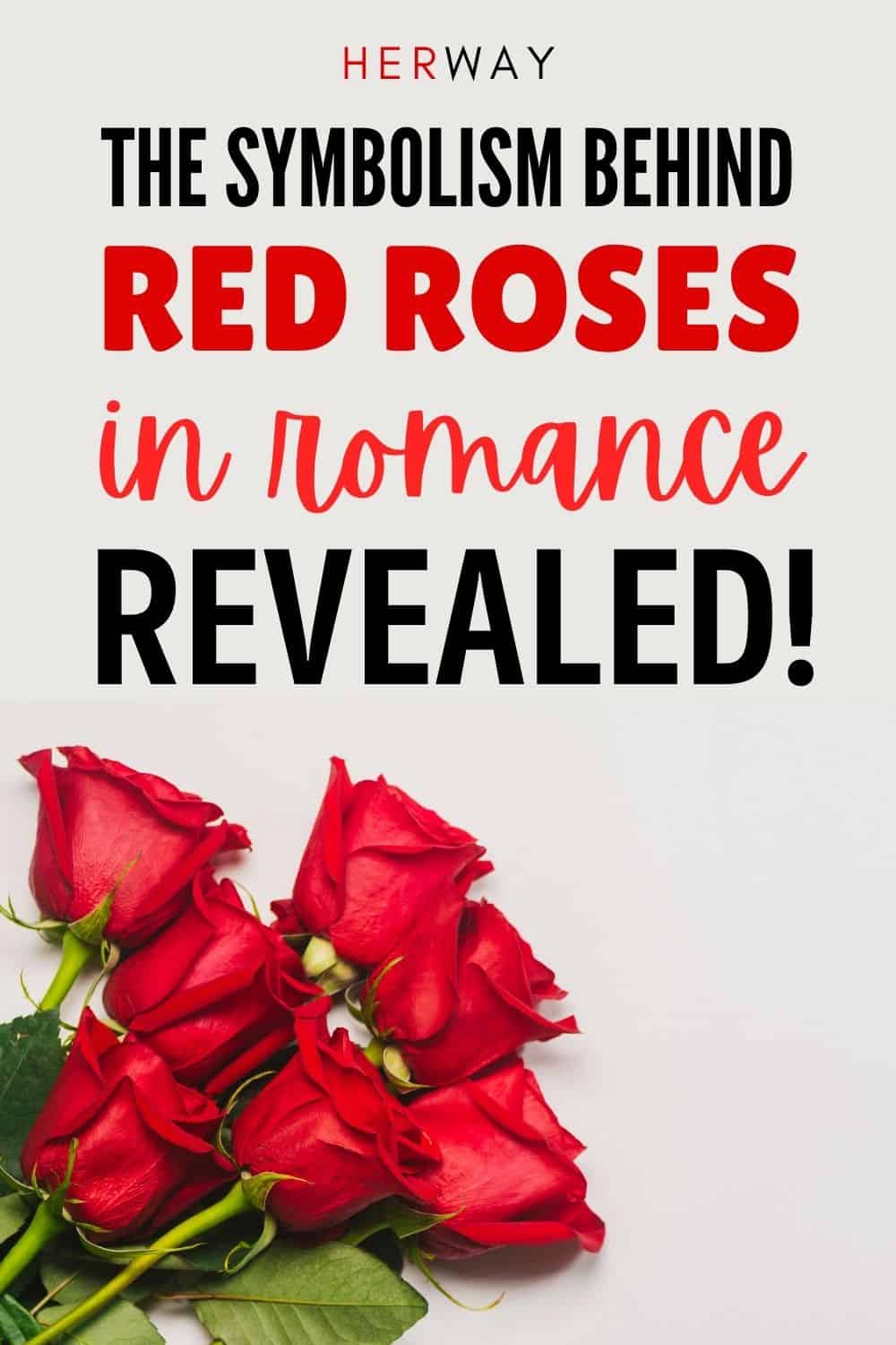 Red Rose In A Relationship (+12 Rose Color Meanings)