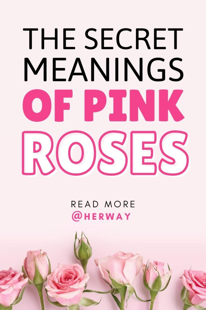 What Do Pink Roses Mean? The Secret Language Of Flowers