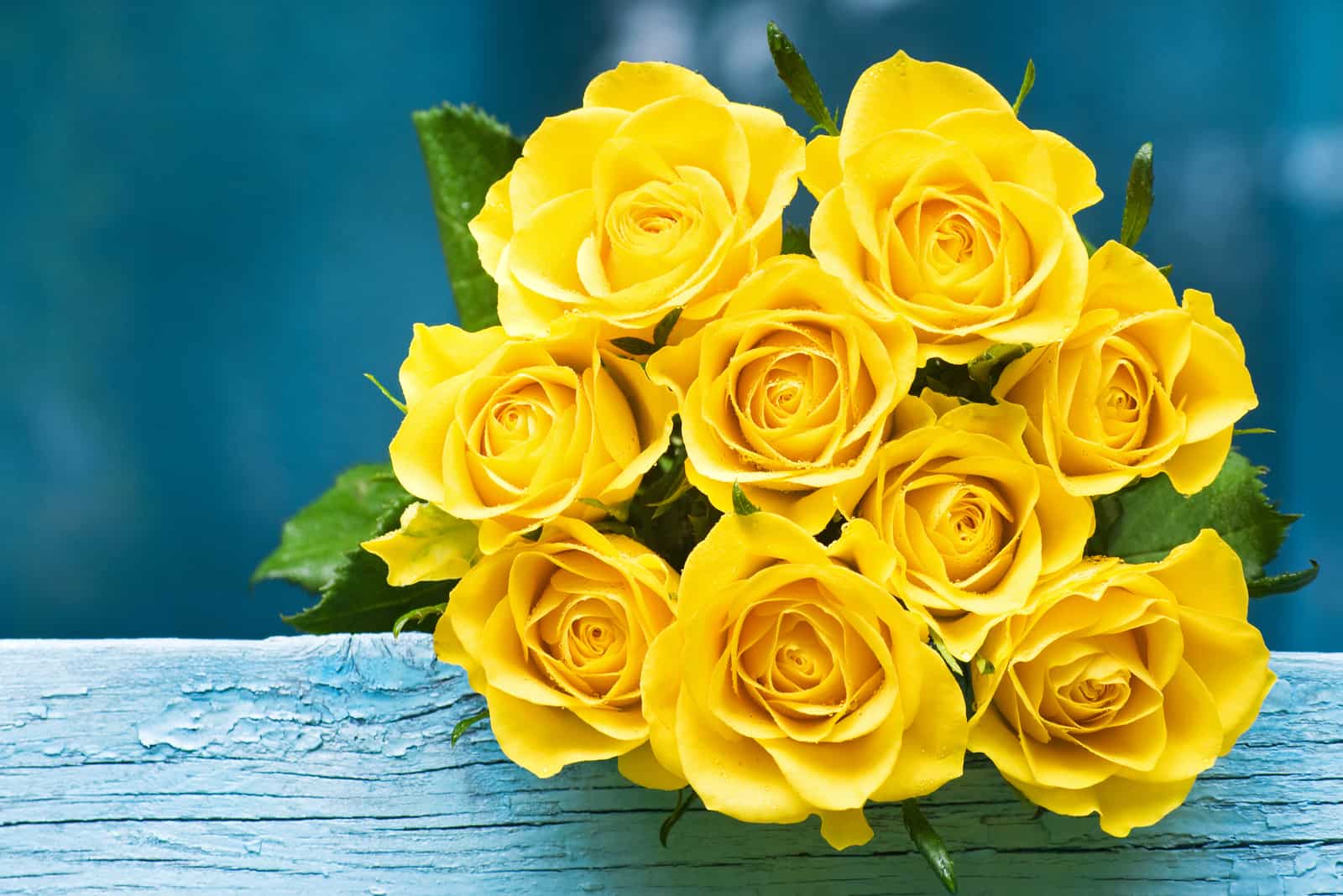 a bouquet of beautiful yellow roses