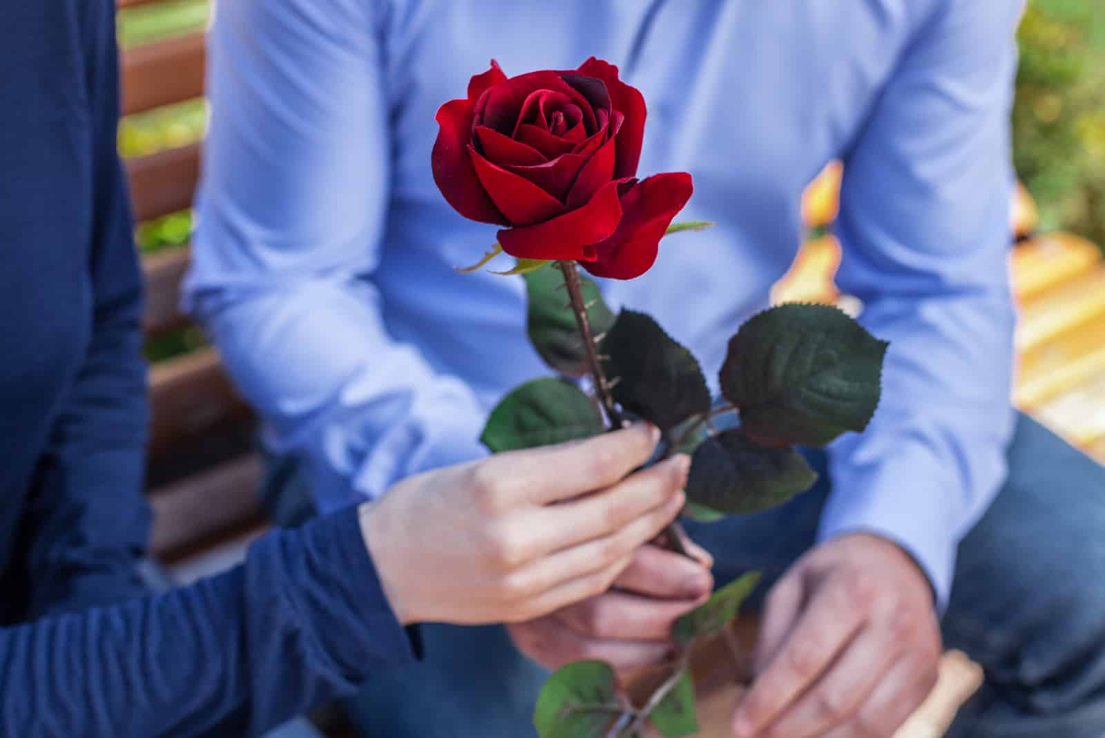 man giving single red rose to woman