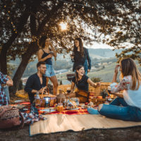 friends enjoying the picnic in nature