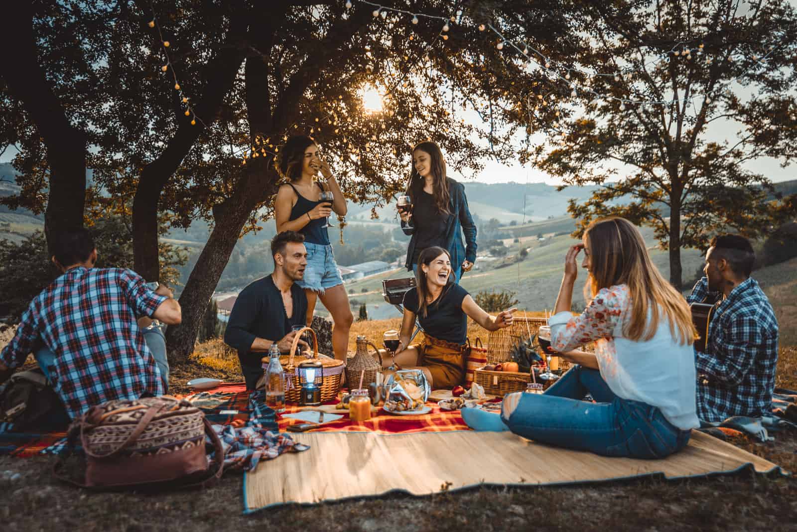 70 Best Picnic Quotes, Captions, And Puns
