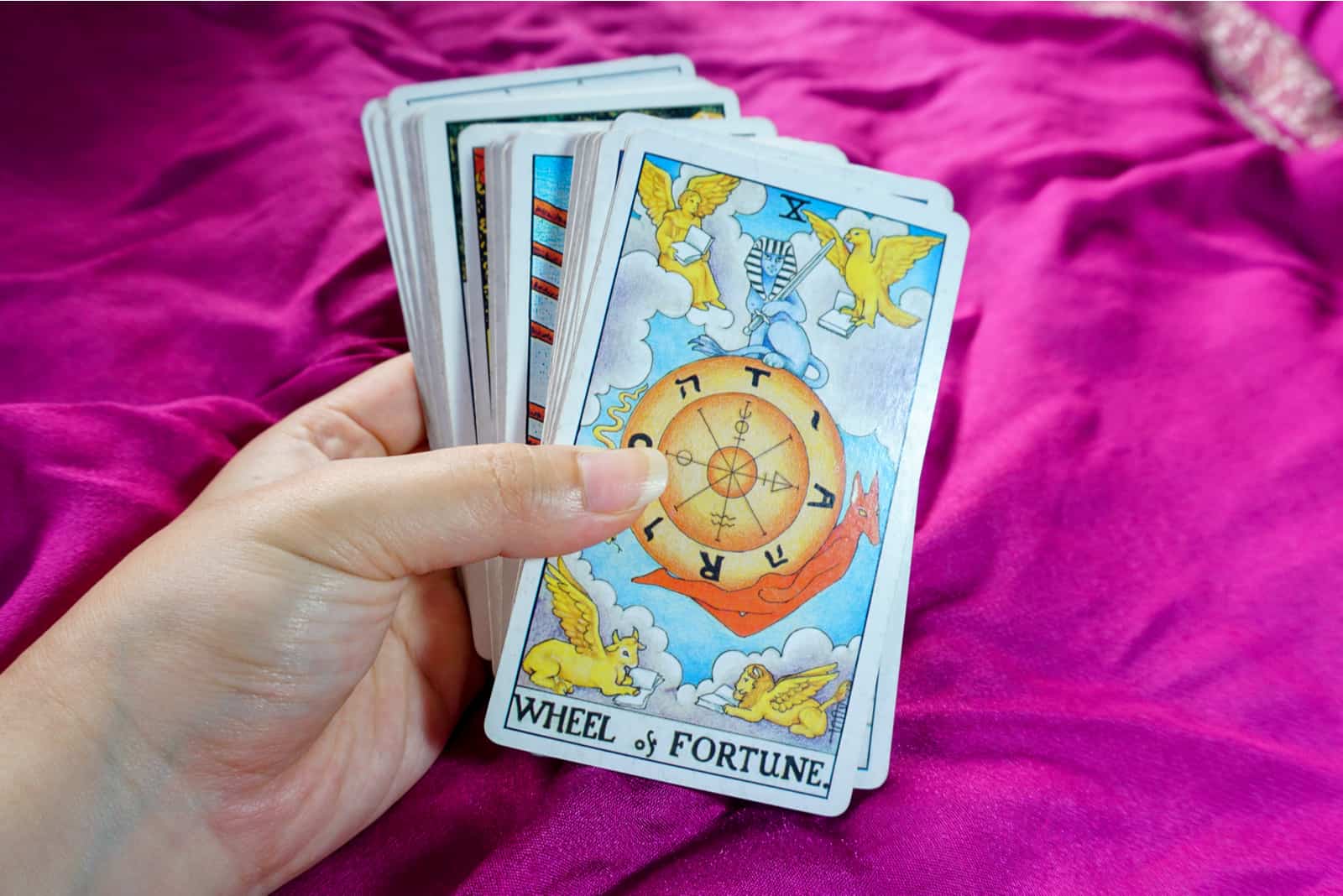 person holding tarot card deck with wheel of fortune card on top