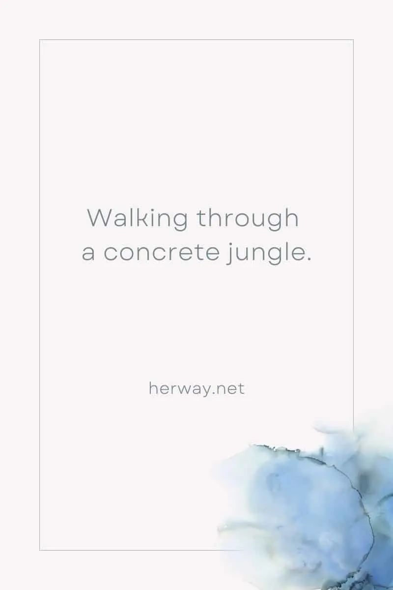 Walking through a concrete jungle.