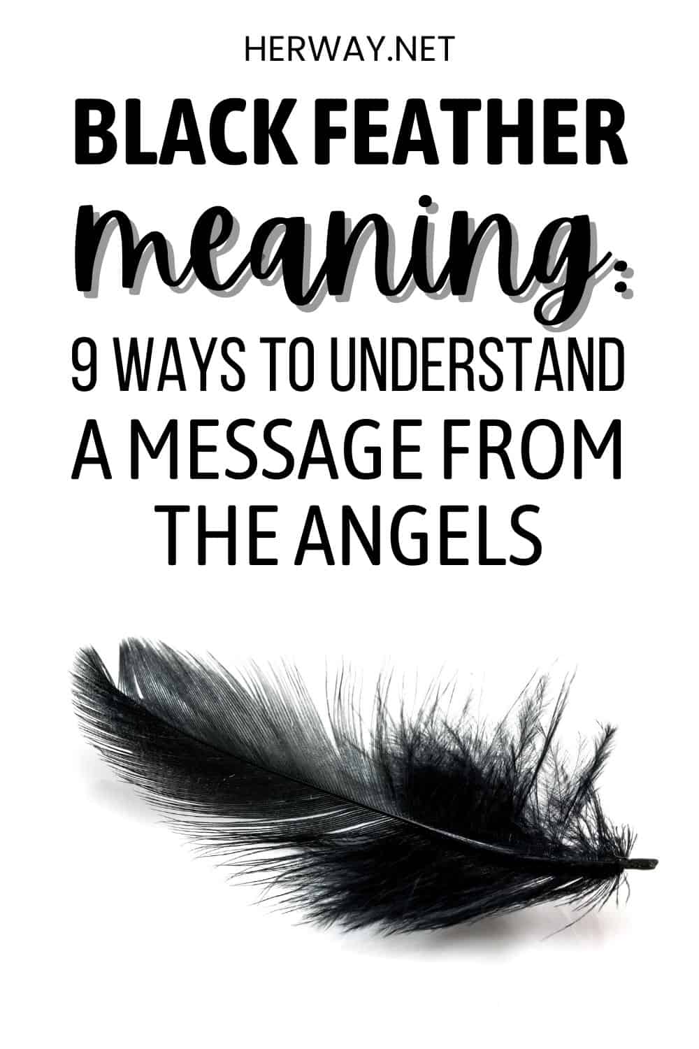 Black Feather Meaning 9 Ways To Understand A Message From The Angels Pinterest