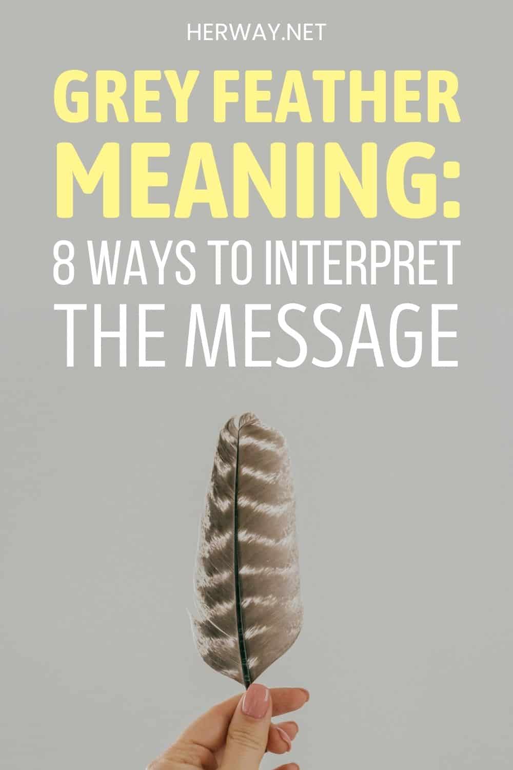 Grey Feather Meaning 8 Ways To Interpret The Message Pinterest