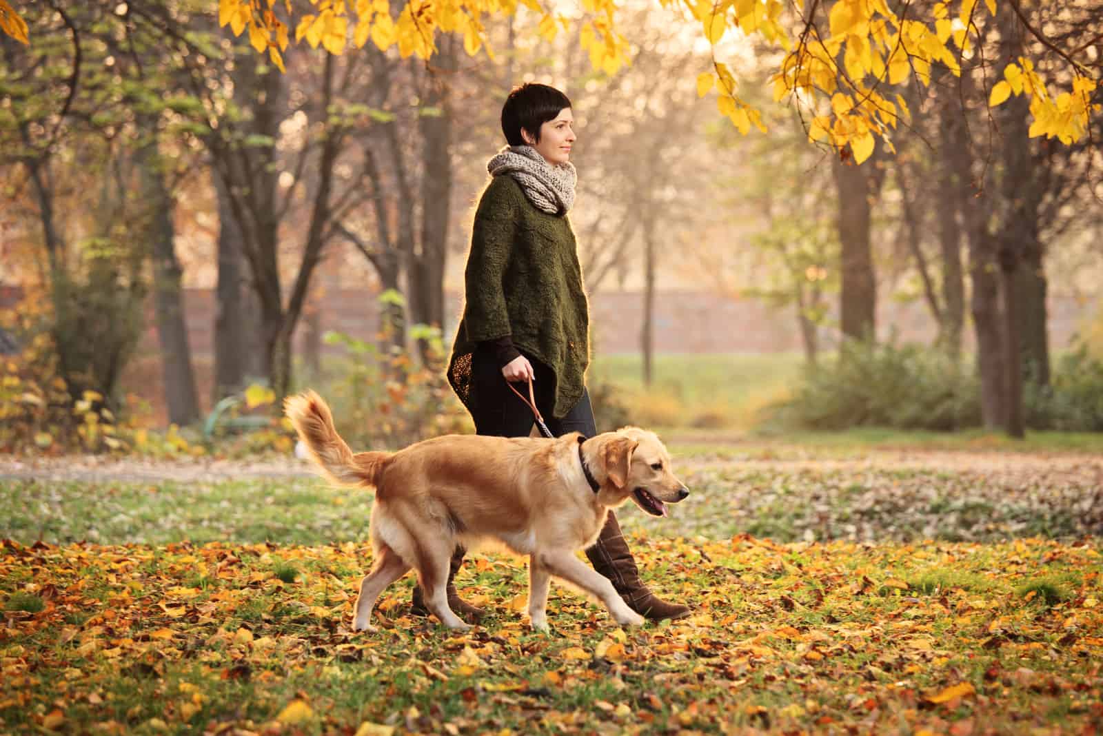girl walking her dog in park