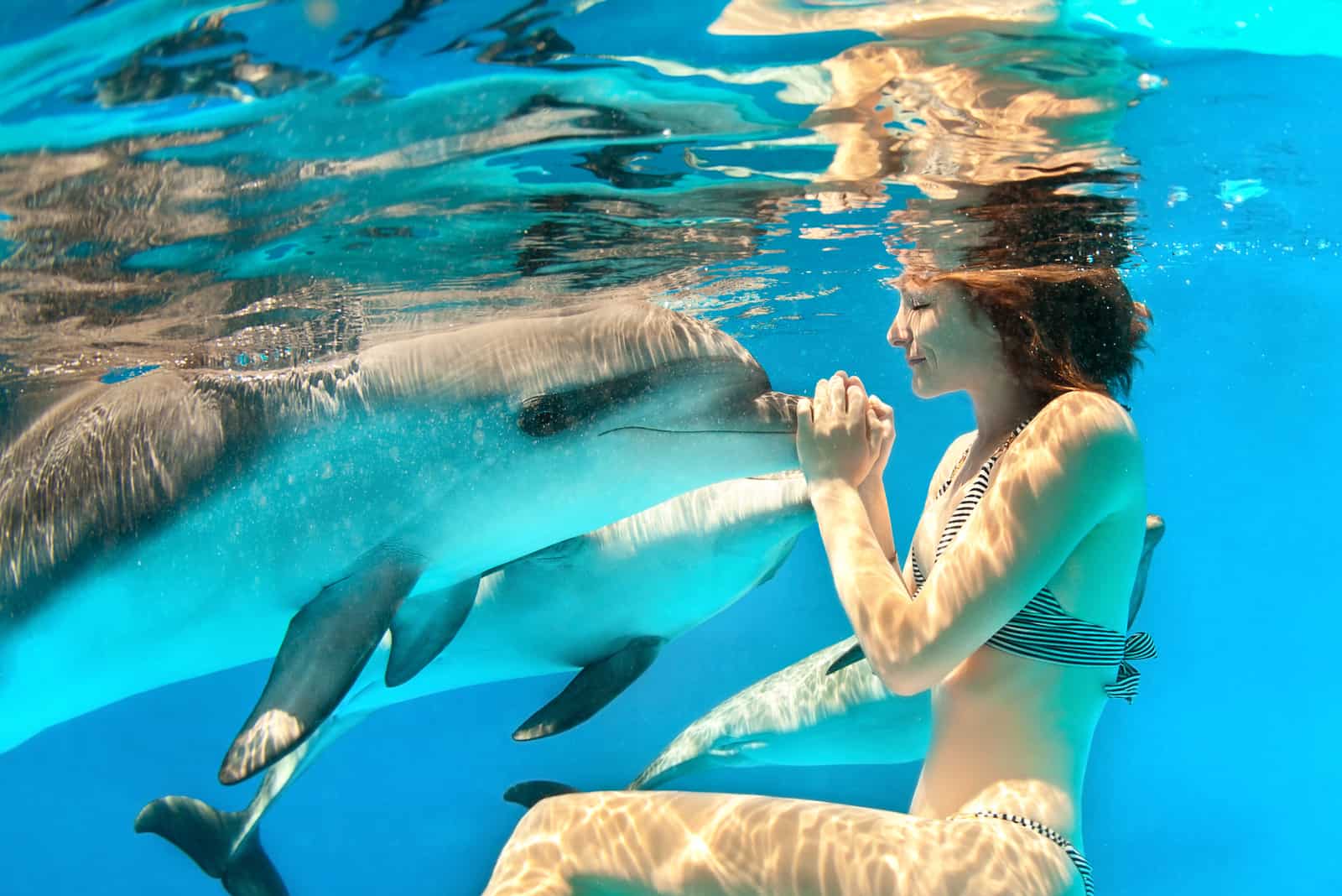 woman Swimming with dolphins