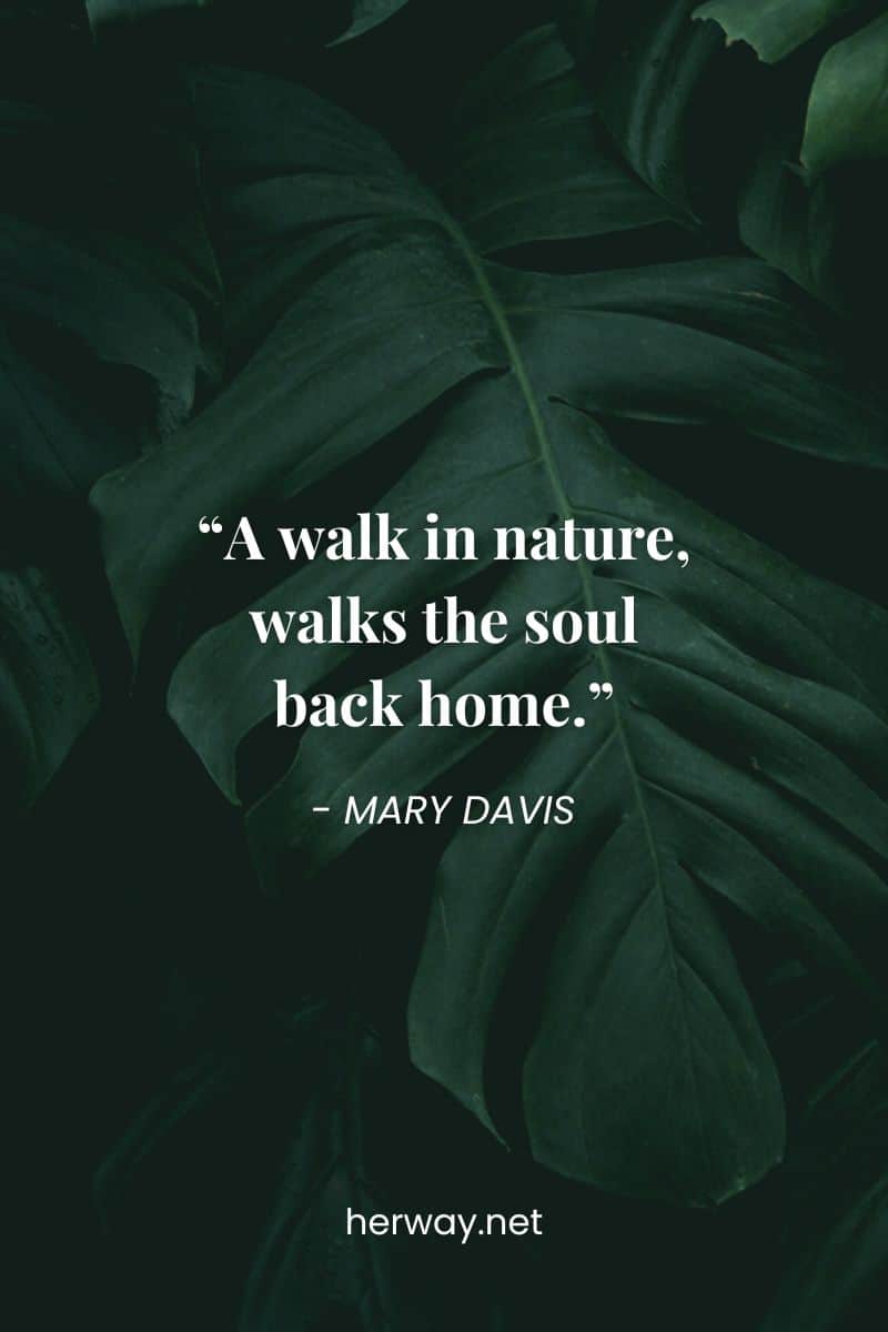 "Una passeggiata nella natura riporta l'anima a casa".