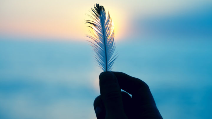 Blue Feather Meaning: 10 Spiritual Reasons You Found One