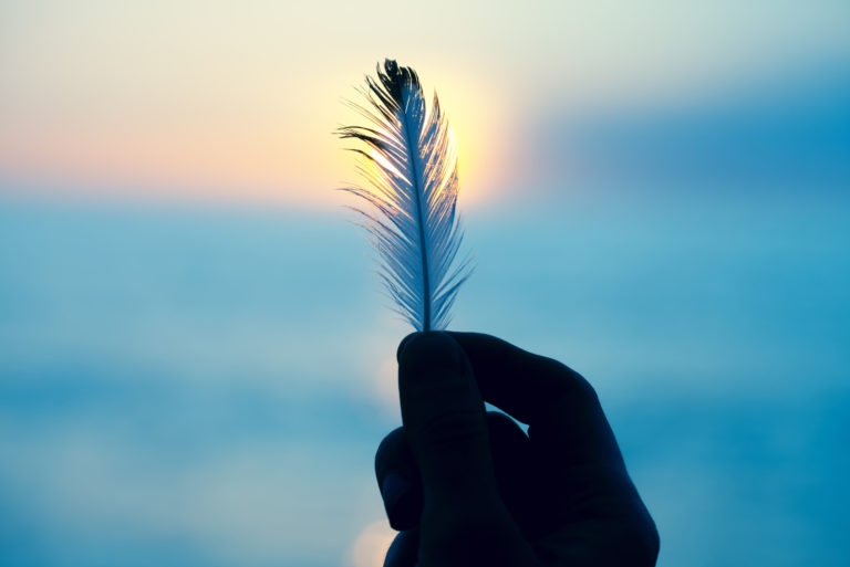 the woman holds blue feathers in her hand