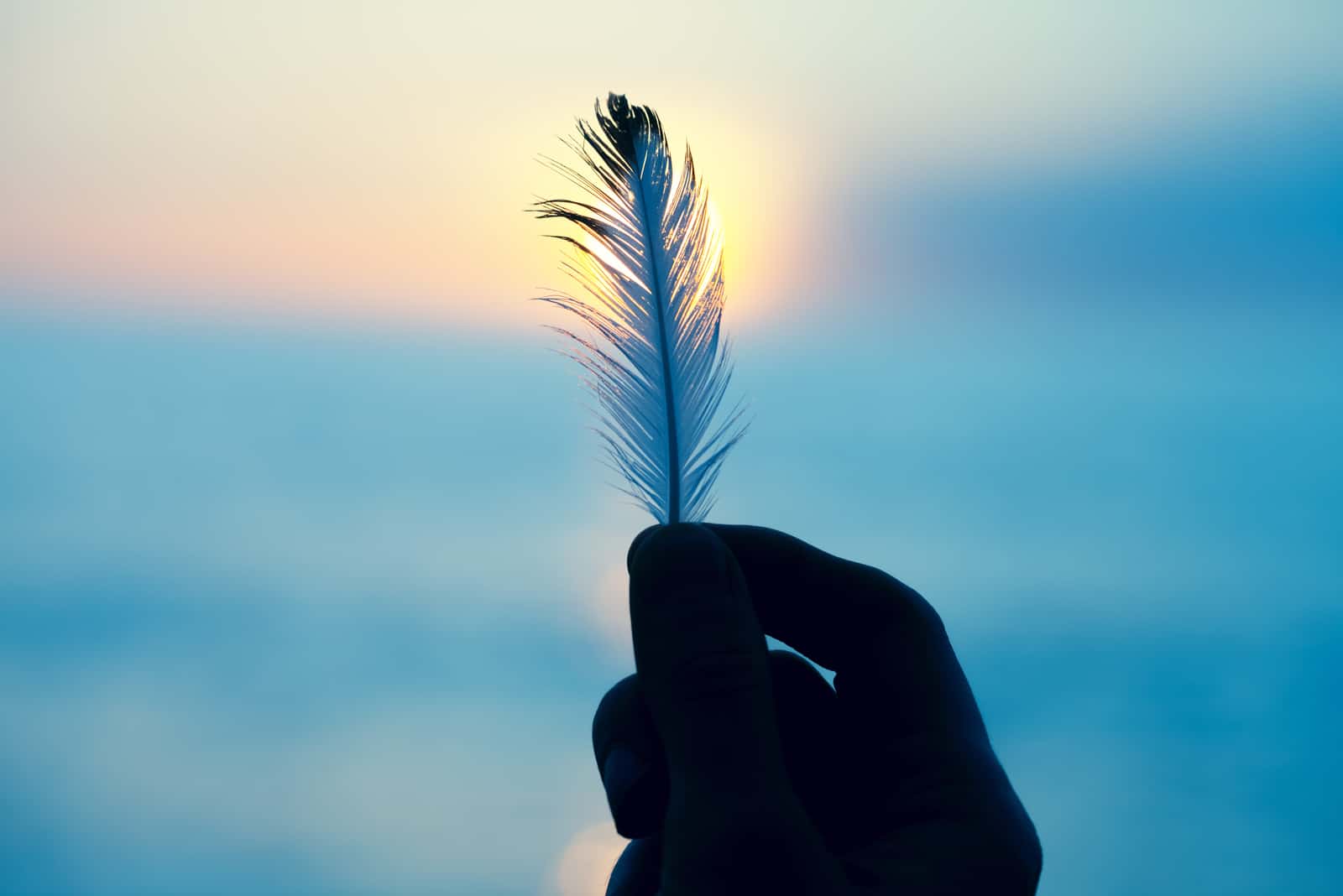 Blue Feather Meaning: 10 Spiritual Reasons You Found One