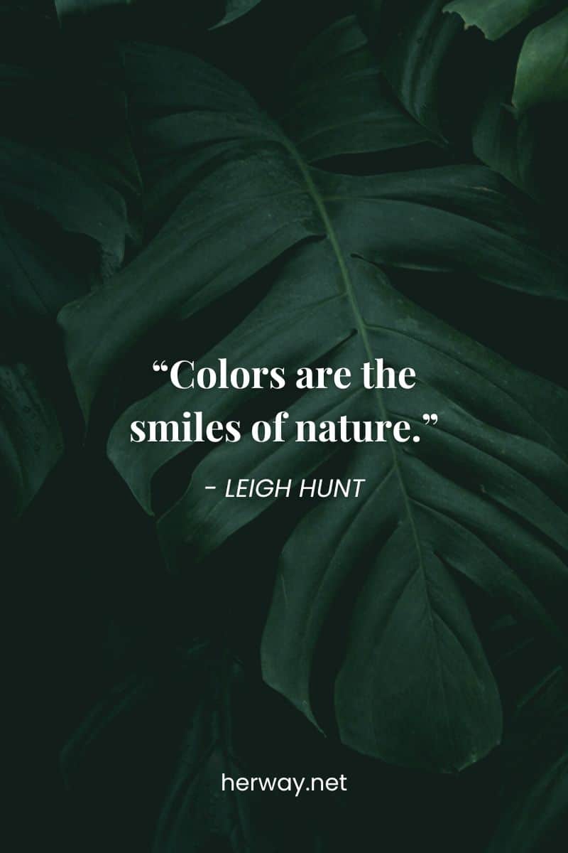 “Colors are the smiles of nature.”