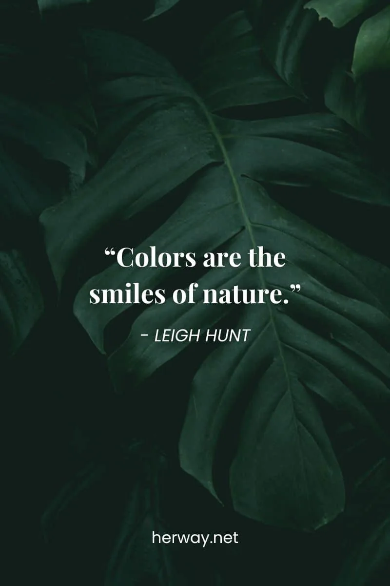 “Colors are the smiles of nature.”
