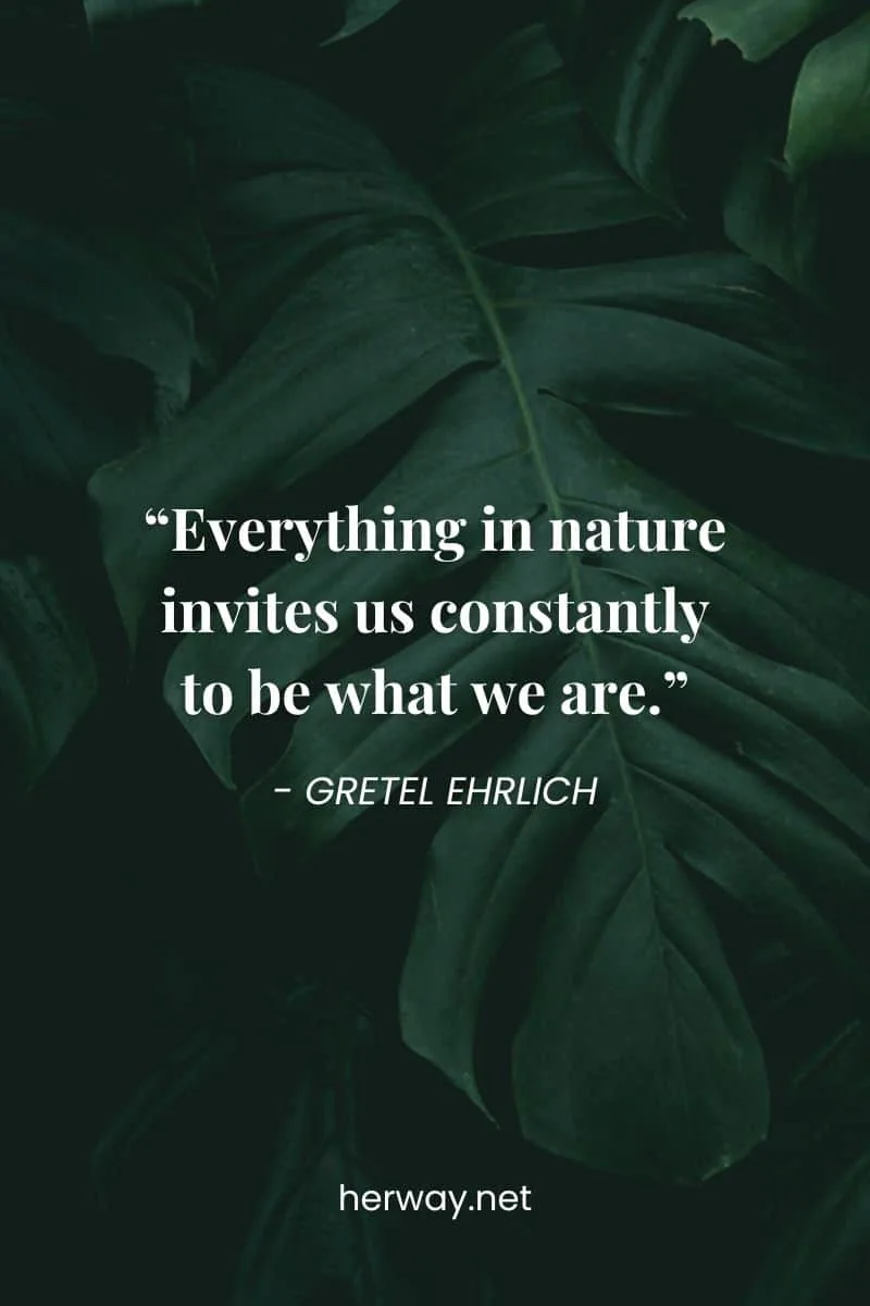 “Everything in nature invites us constantly to be what we are.”