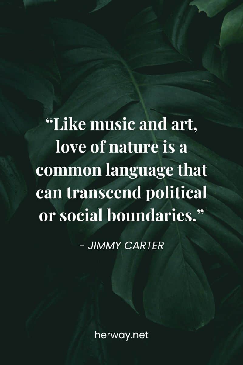 "Come la musica e l'arte, l'amore per la natura è un linguaggio comune che può trascendere i confini politici o sociali".