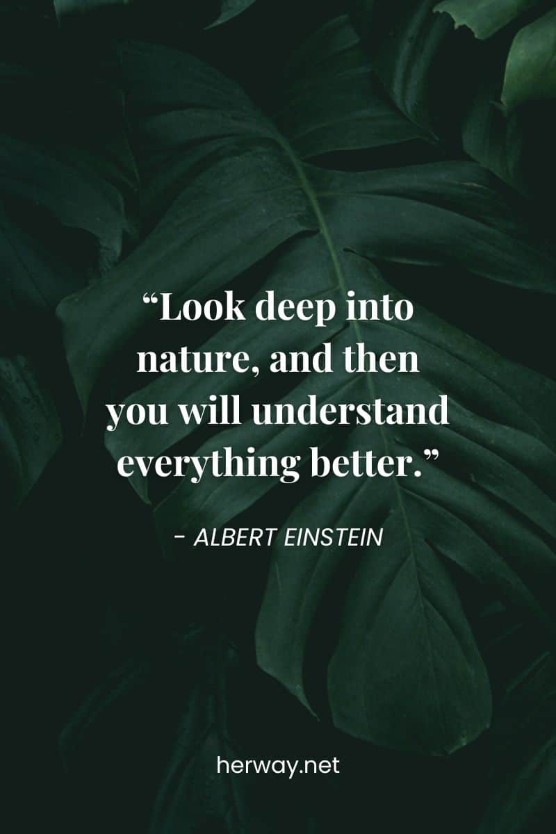 "Guardate in profondità nella natura, e allora capirete tutto meglio".