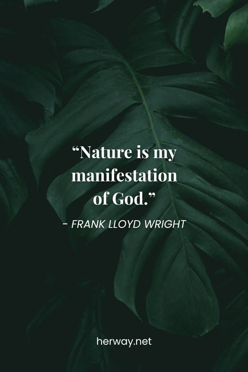 "La natura è la mia manifestazione di Dio".