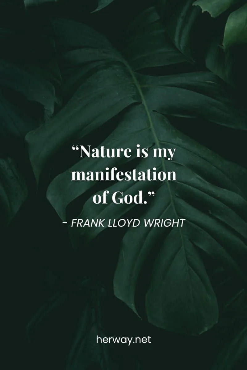 “Nature is my manifestation of God.”