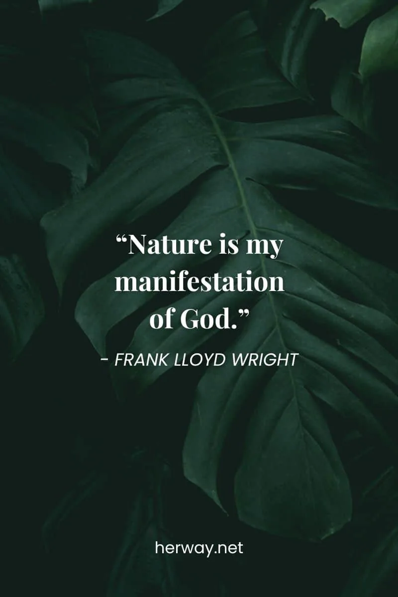 quotes about nature and god