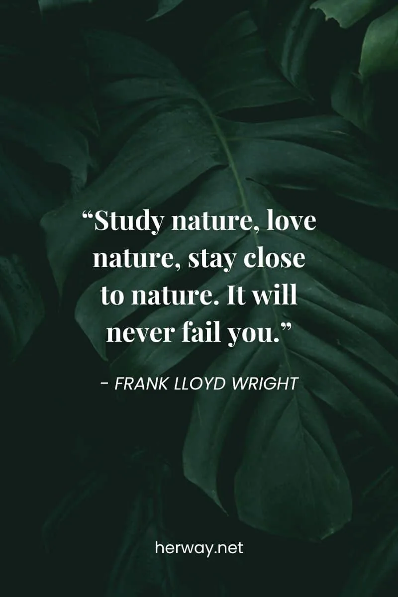 “Study nature, love nature, stay close to nature. It will never fail you.”