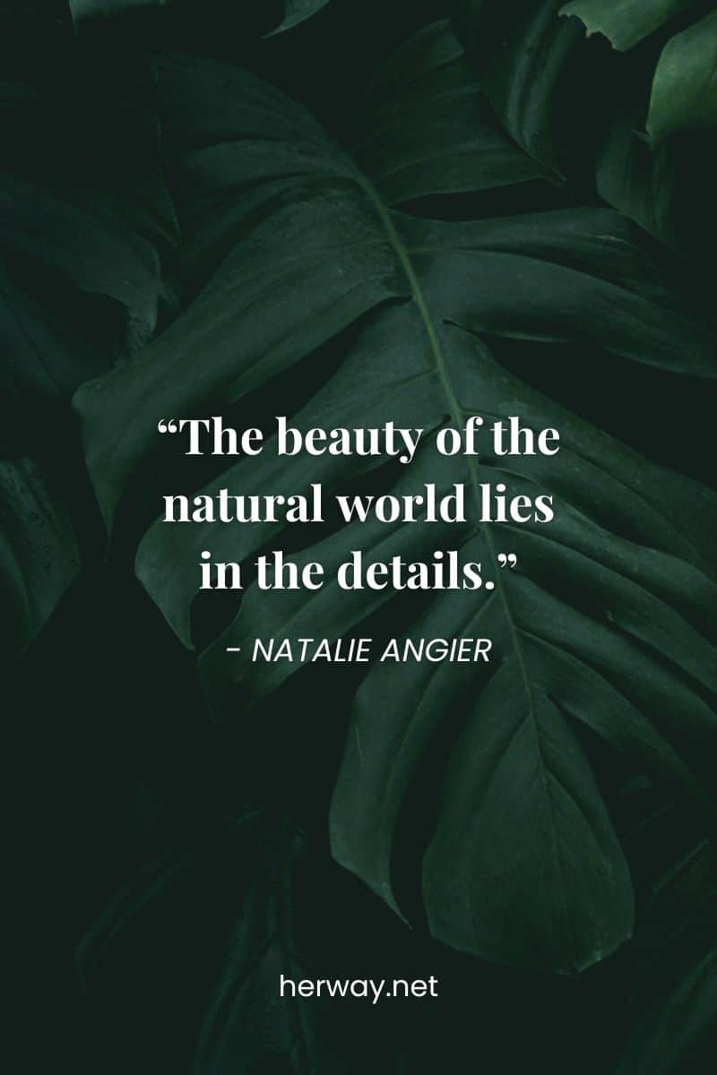 "La bellezza del mondo naturale sta nei dettagli".
