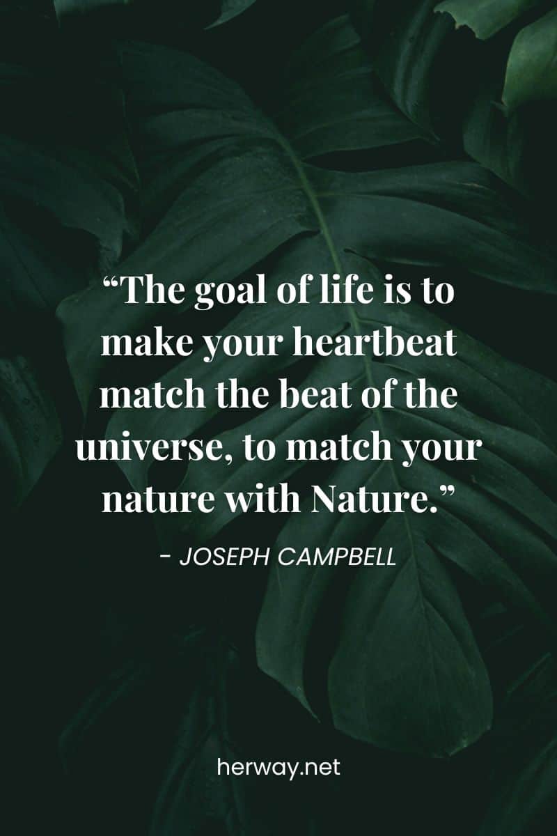 “The goal of life is to make your heartbeat match the beat of the universe, to match your nature with Nature.”