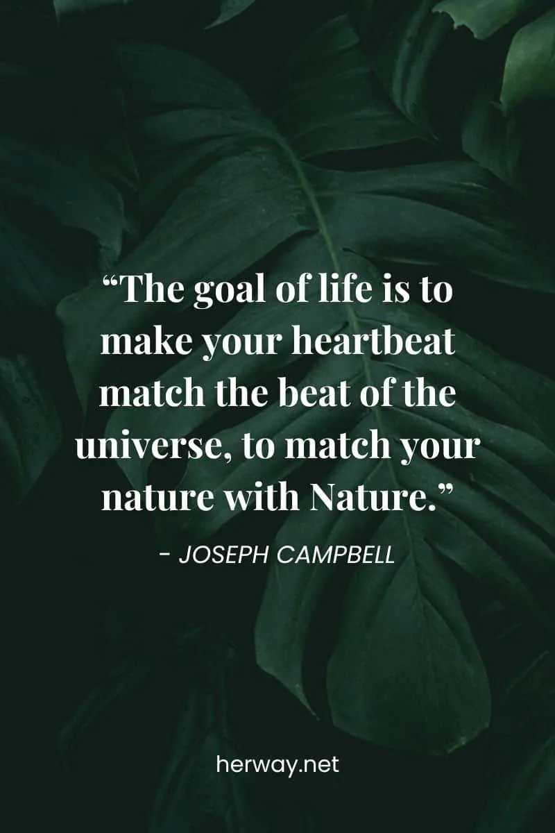 “The goal of life is to make your heartbeat match the beat of the universe, to match your nature with Nature.”
