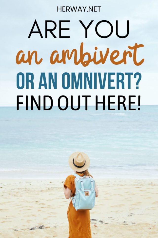 Ambivert Vs Omnivert Key Traits And Differences