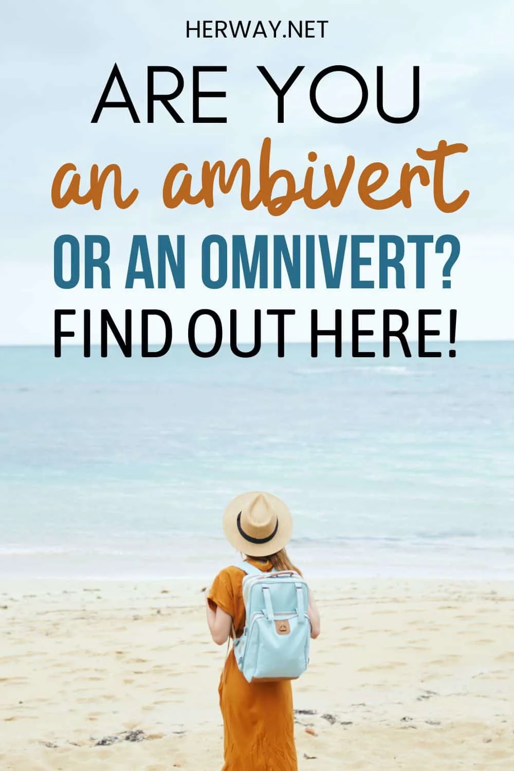 Ambivert Vs. Omnivert Key Traits And Differences Pinterest