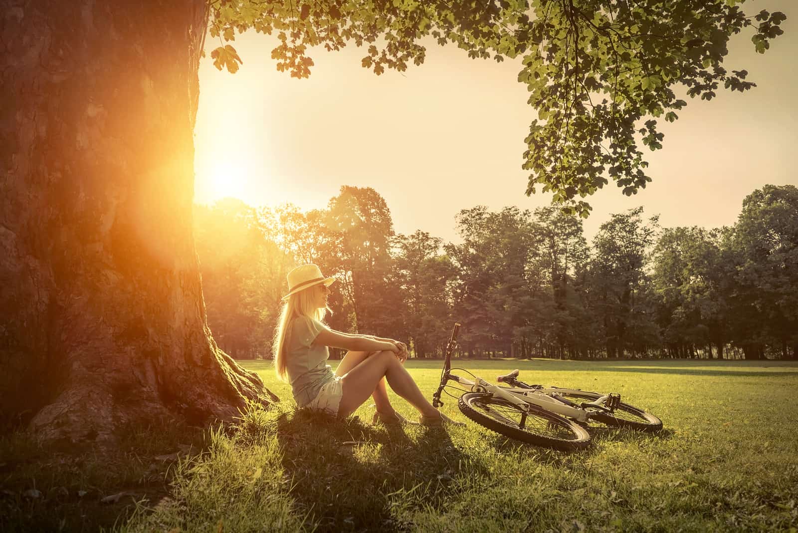 woman sitting on grass in park